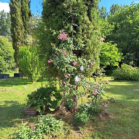Apartman Maison De Famille Avec Jardin Pres De La Charente Genac