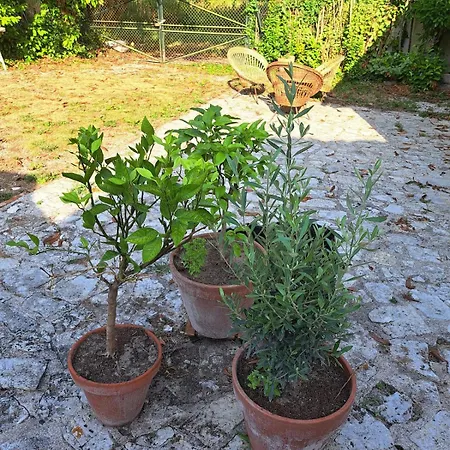 Maison De Famille Avec Jardin Pres De La Charente